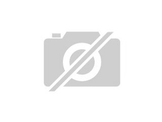 Herzenshund sucht Herzensplatz